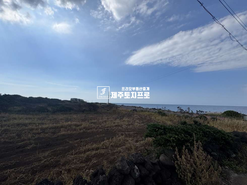 제주 제주시 구좌읍 하도리 토끼섬,바다영구조망/제주시 구좌읍 하도리 이차선도로접한 모양 좋은 토지매매/숙박업,펜션부지로추천 매매 매물번호 10776 사진 2