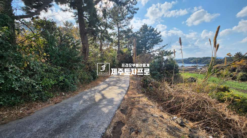 제주 서귀포시 하예동 하예동/단독주택부지/전원주택부지/바다뷰 매매 매물번호 10789 사진 1