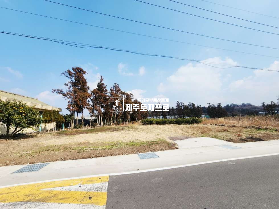 제주 제주시 애월읍 하가리 780-2 ★애월읍 하가리/중산간서로인근/493평/계획관리지역/직사각형/토지 매매 매매 매물번호 10799 사진 2