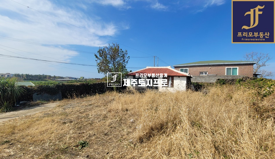 제주 제주시 한림읍 한림리 양지바른 자리 매매 매물번호 10109 사진 2