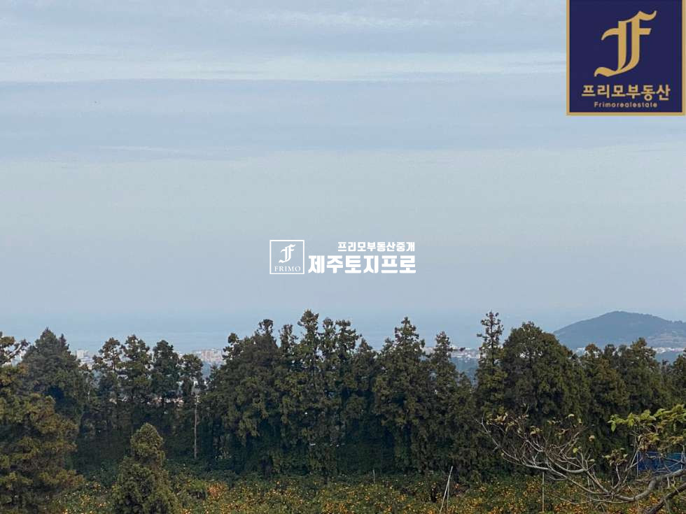 제주 제주시 조천읍 와산리 급매/조천읍 와산리 단독주택부지로 강력추천드리는 토지/모양좋은 소형필지/바다뷰최상 매매 매물번호 10129 사진 9