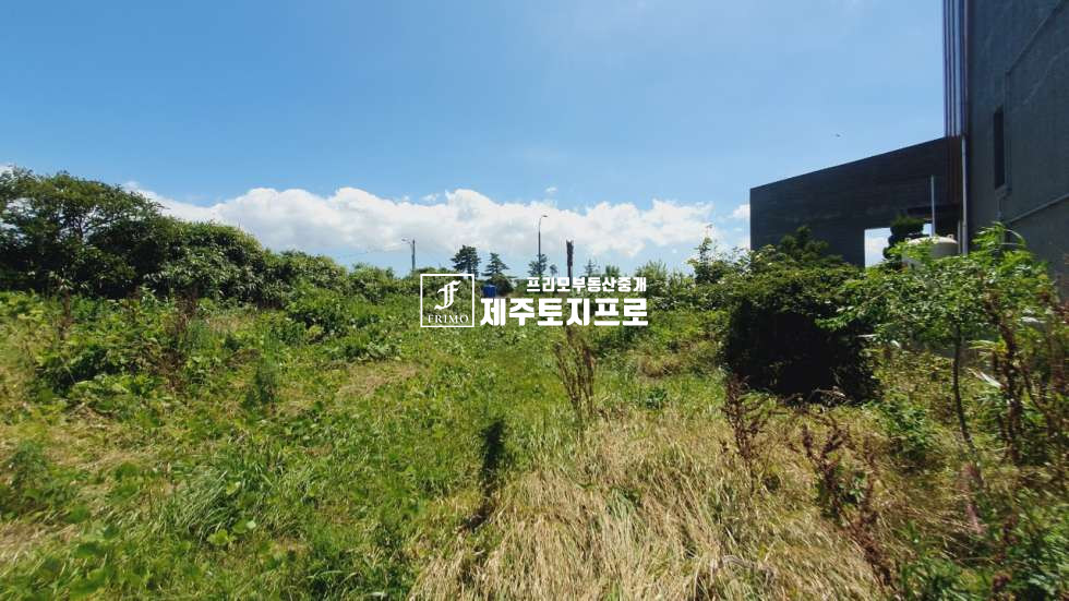 제주 제주시 애월읍 신엄리 급매/제주시 애월읍 신엄리 이차선 도로접 약 209평 토지매매 매매 매물번호 10367 사진 2