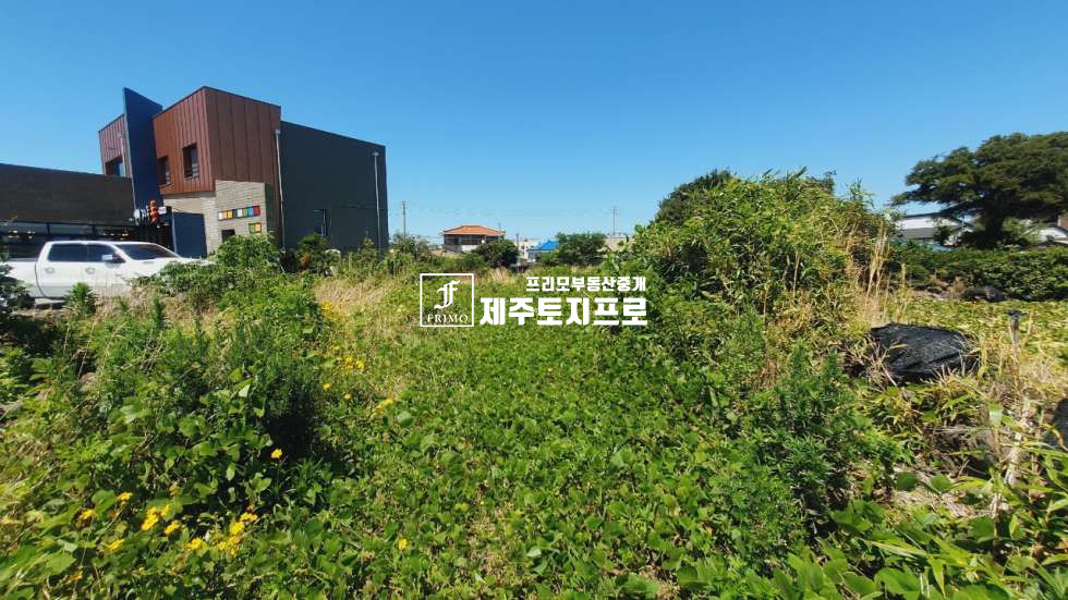 제주 제주시 애월읍 신엄리 급매/제주시 애월읍 신엄리 이차선 도로접 약 209평 토지매매 매매 매물번호 10367 사진 6