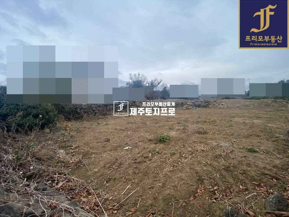 제주 제주시 조천읍 함덕리 제주시 조천읍 함덕리 이차선도로접한 모양 좋은 토지매매/건축가능한 토지 매매 매물번호 10173 사진 2