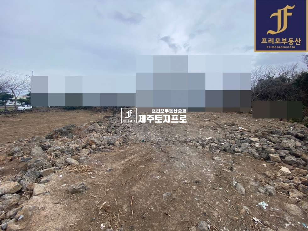 제주 제주시 조천읍 함덕리 제주시 조천읍 함덕리 이차선도로접한 모양 좋은 토지매매/건축가능한 토지 매매 매물번호 10173 사진 3