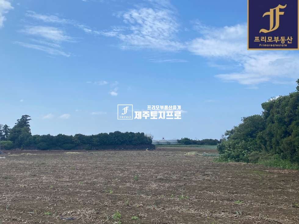 제주 제주시 도련이동 제주시 도련이동 도로 잘 물고 있는 토지/물류창고등으로 추천 매매 매물번호 10041 사진 7