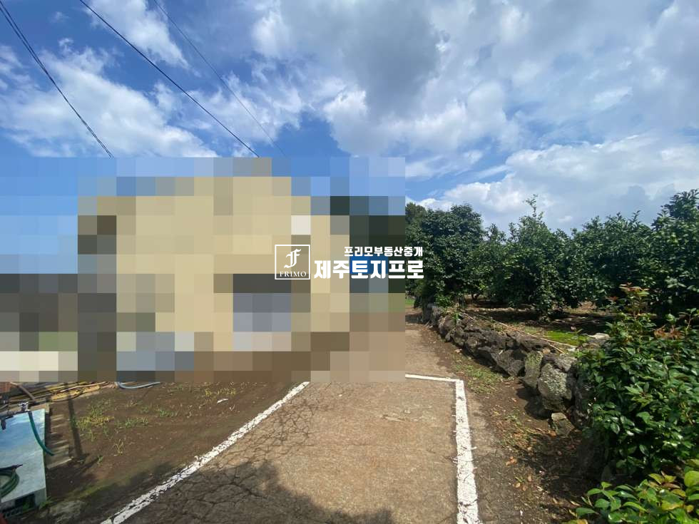 제주 제주시 회천동 제주시 회천동 번영로 인근 도로 잘 접하고 있는 건축가능한 토지/통상가 및 타운하우스부지 매매 매물번호 10039 사진 14