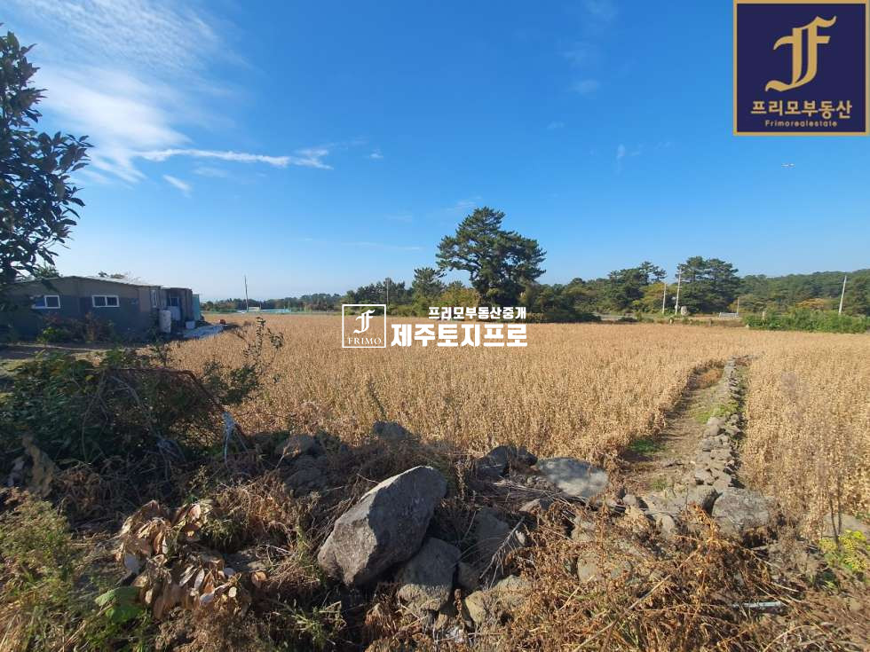 제주 제주시 애월읍 어음리 제주시 애월읍 어음리 2차선 도로접 토지매매/투자용,창고부지 등으로 추천 매매 매물번호 10112 사진 6