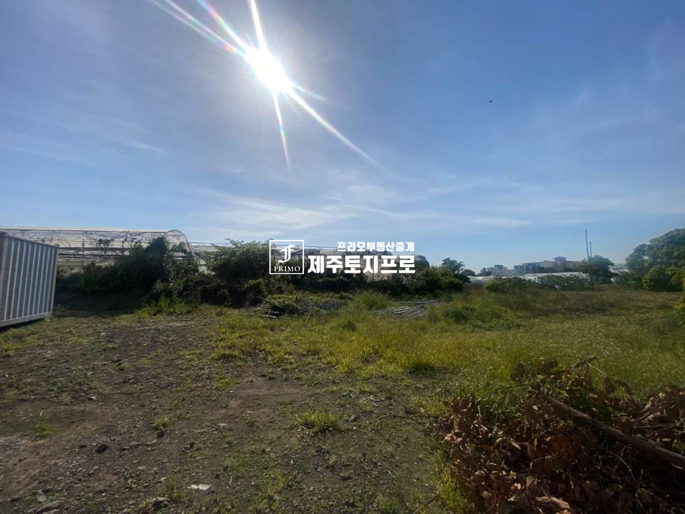 제주 서귀포시 강정동 급매/서귀포시 강정동 해안도로 인근 관광숙박시설,상가주택부지로 강력추천드리는 토지 매매 매물번호 10312 사진 1