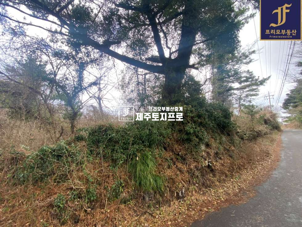제주 제주시 애월읍 소길리 제주시 애월읍 소길리 타운하우스,전원주택,고급주택부지로 강력추천드리는 토지 매매 매물번호 10194 사진 3