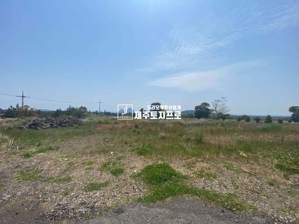 제주 서귀포시 안덕면 사계리 서귀포시 안덕면 사계리 도로 잘 접한 건축가능한 토지/뷰 최상의 위치/상가주택 및 농어촌민박 등 강력추천하는 토지 매매 매물번호 10022 사진 1
