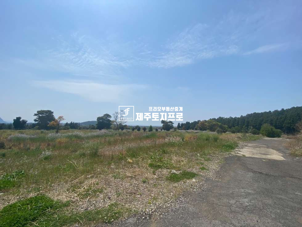 제주 서귀포시 안덕면 사계리 서귀포시 안덕면 사계리 도로 잘 접한 건축가능한 토지/뷰 최상의 위치/상가주택 및 농어촌민박 등 강력추천하는 토지 매매 매물번호 10022 사진 2