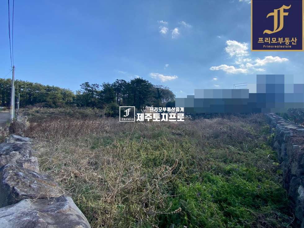 제주 제주시 애월읍 유수암리 제주시 애월읍 유수암리 단독주택부지로 강력추천드리는 소형필지/농어촌민박추천/바다뷰최상 매매 매물번호 10142 사진 1