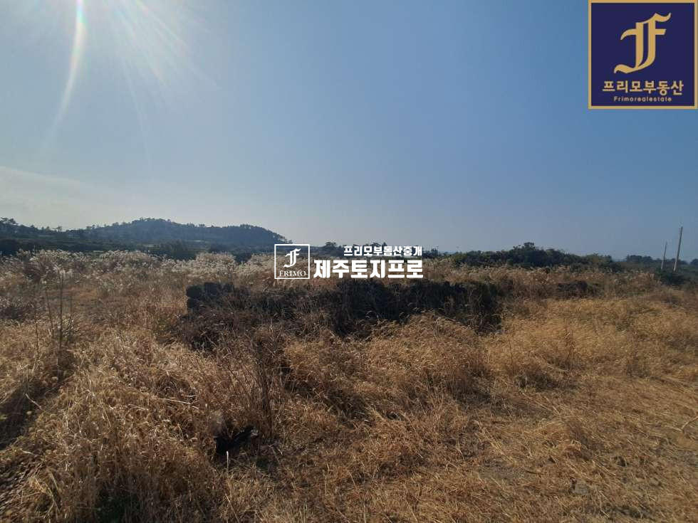 제주 제주시 한경면 판포리 제주시 한경면 판포리 약3m도로 접한 저렴한 투자용 토지매매/바닷가 차량 10분내외거리 매매 매물번호 10118 사진 2