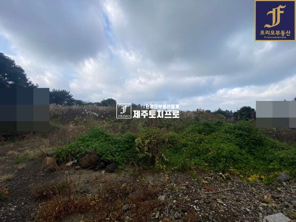 제주 제주시 해안동 제주시 해안동 약6m이상 도로접하고 있는 네모반듯한 토지/전원주택부지로 강력추천/노형오거리차량15분 매매 매물번호 10122 사진 1