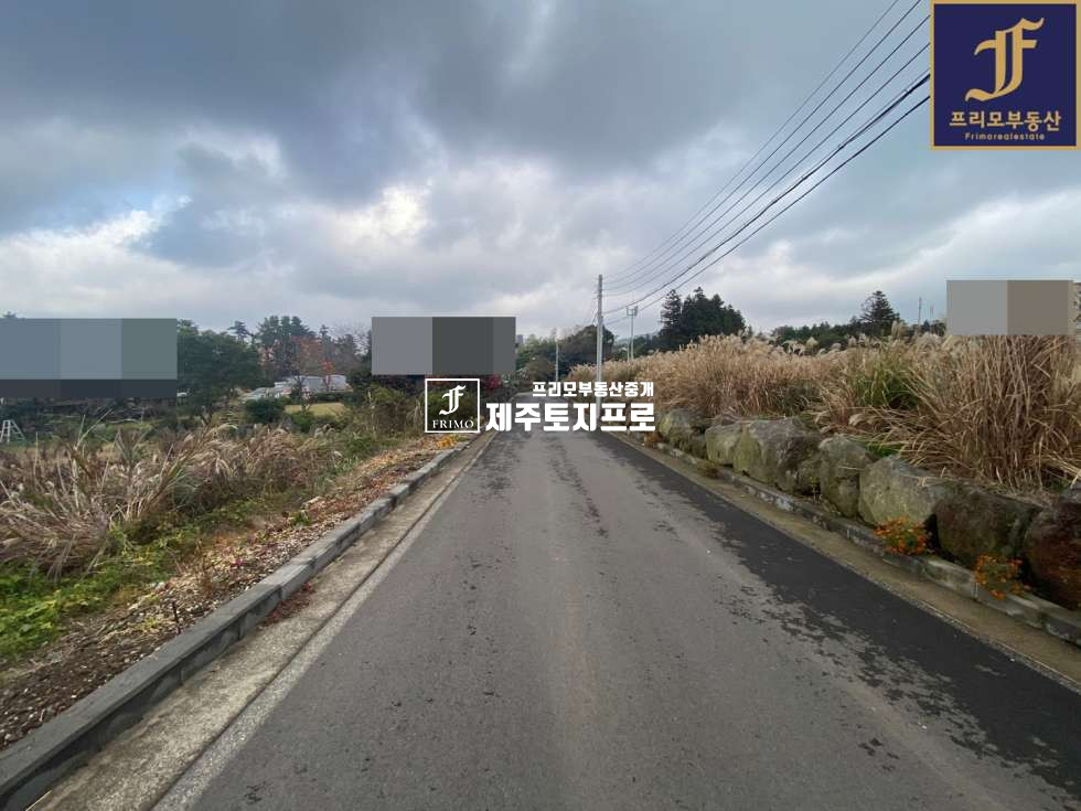 제주 제주시 해안동 제주시 해안동 약6m이상 도로접하고 있는 네모반듯한 토지/전원주택부지로 강력추천/노형오거리차량15분 매매 매물번호 10122 사진 5