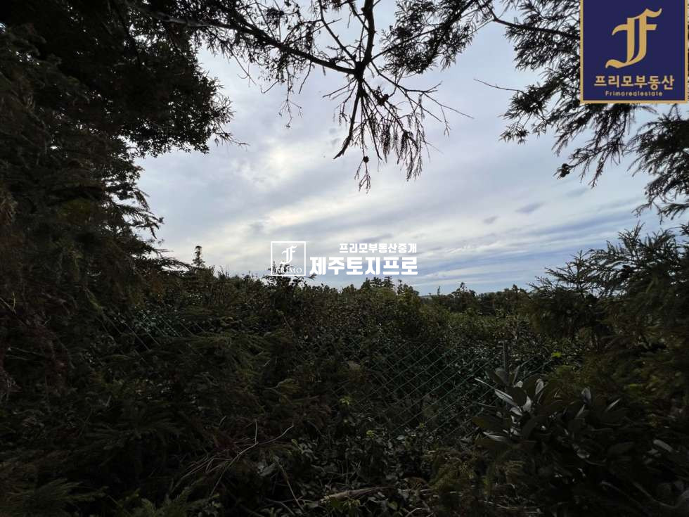 제주 제주시 도련일동 제주시 도련일동 삼화코아루헤리티지 인근 토지매매/상수,하수,오수관o 매매 매물번호 10102 사진 4