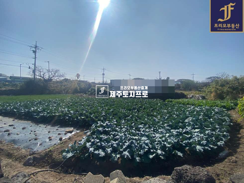 제주 제주시 애월읍 곽지리 제주시 애월읍 곽지리 곽지해수욕장 인근 상가주택 및 단독주택부지로 추천드리는 토지 매매 매물번호 10101 사진 1