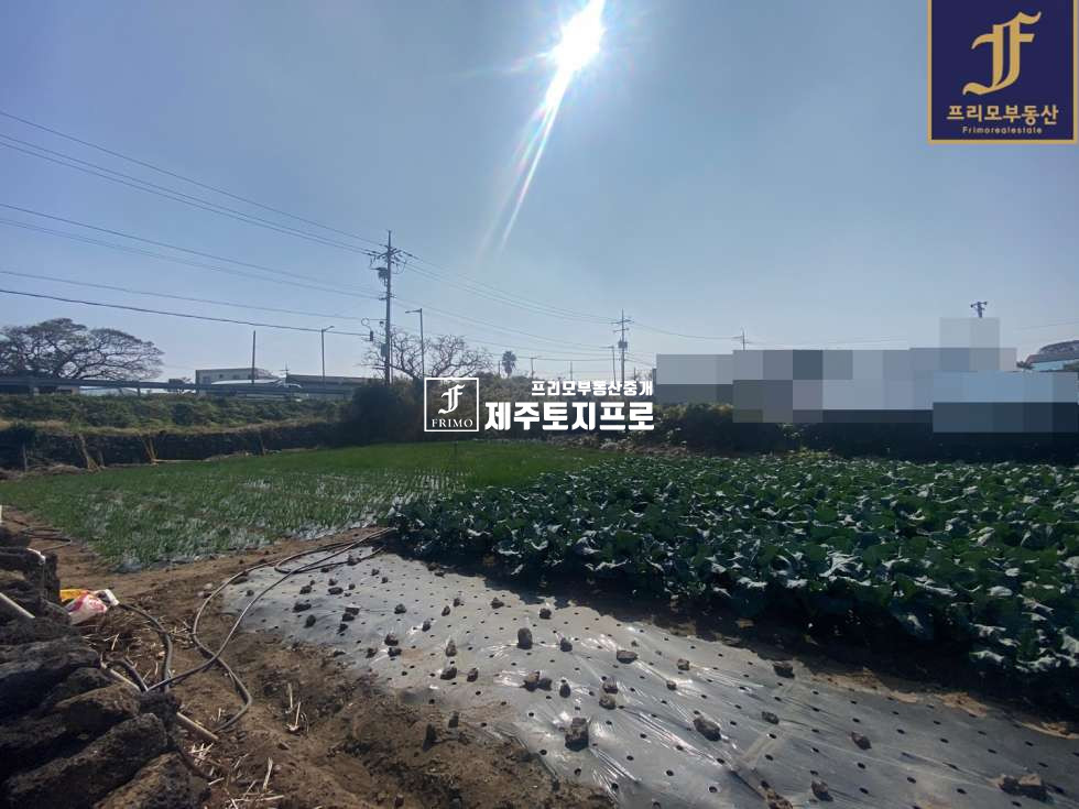 제주 제주시 애월읍 곽지리 제주시 애월읍 곽지리 곽지해수욕장 인근 상가주택 및 단독주택부지로 추천드리는 토지 매매 매물번호 10101 사진 2
