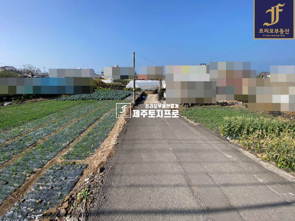제주 제주시 애월읍 곽지리 제주시 애월읍 곽지리 곽지해수욕장 인근 상가주택 및 단독주택부지로 추천드리는 토지 매매 매물번호 10101 사진 4