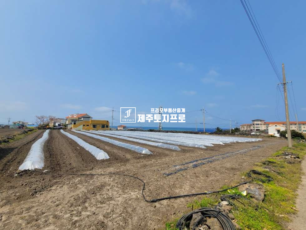 제주 제주시 한림읍 수원리 한림읍/바다뷰 영구조망/바다앞토지매매/전원주택부지로 강력추천 매매 매물번호 10052 사진 1