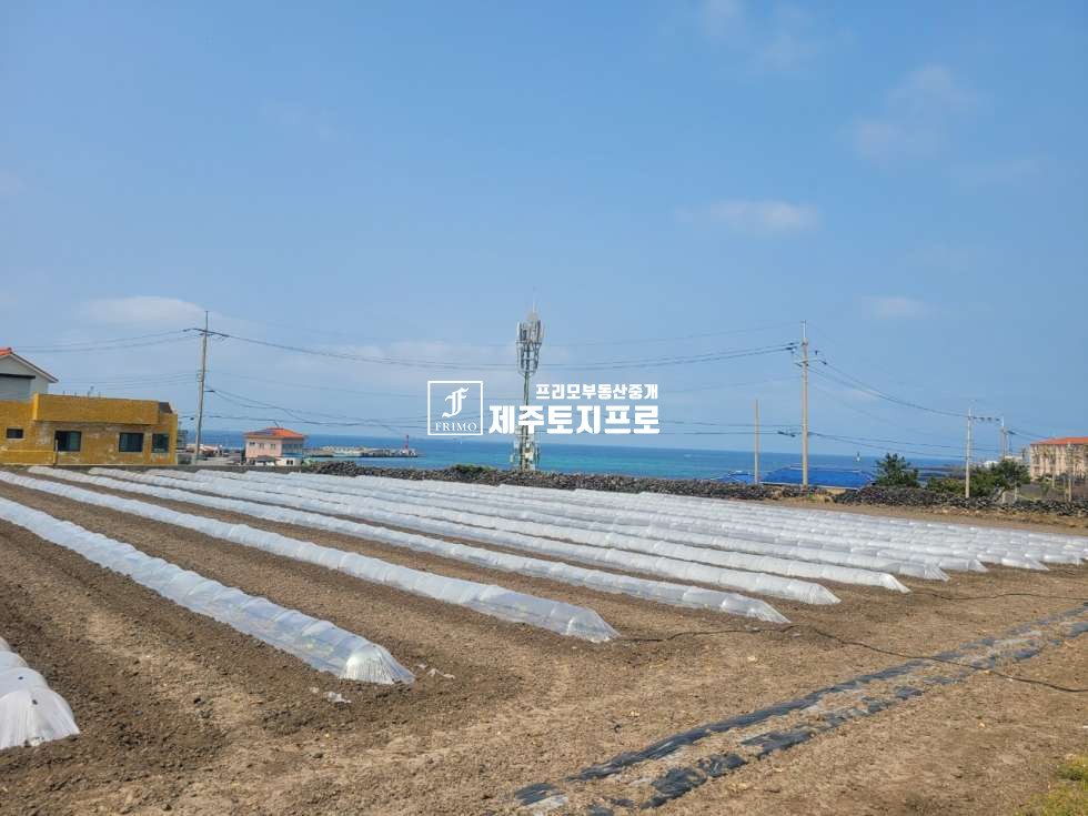 제주 제주시 한림읍 수원리 한림읍/바다뷰 영구조망/바다앞토지매매/전원주택부지로 강력추천 매매 매물번호 10052 사진 3