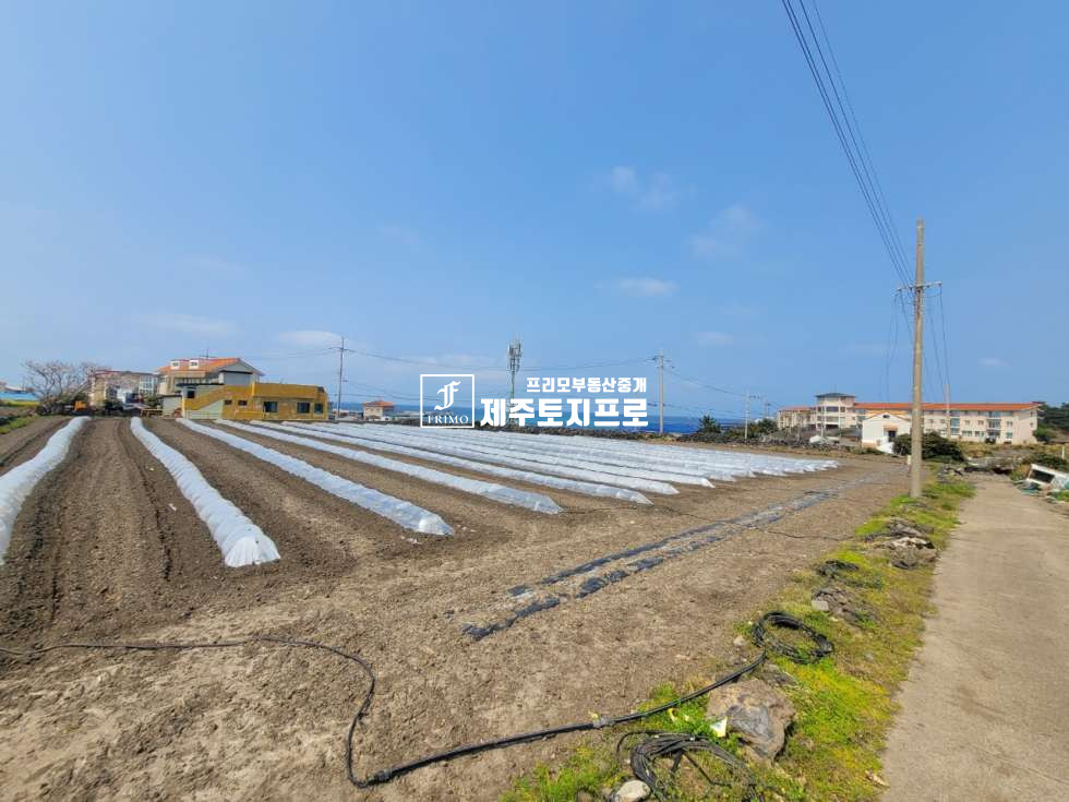 제주 제주시 한림읍 수원리 한림읍/바다뷰 영구조망/바다앞토지매매/전원주택부지로 강력추천 매매 매물번호 10052 사진 4