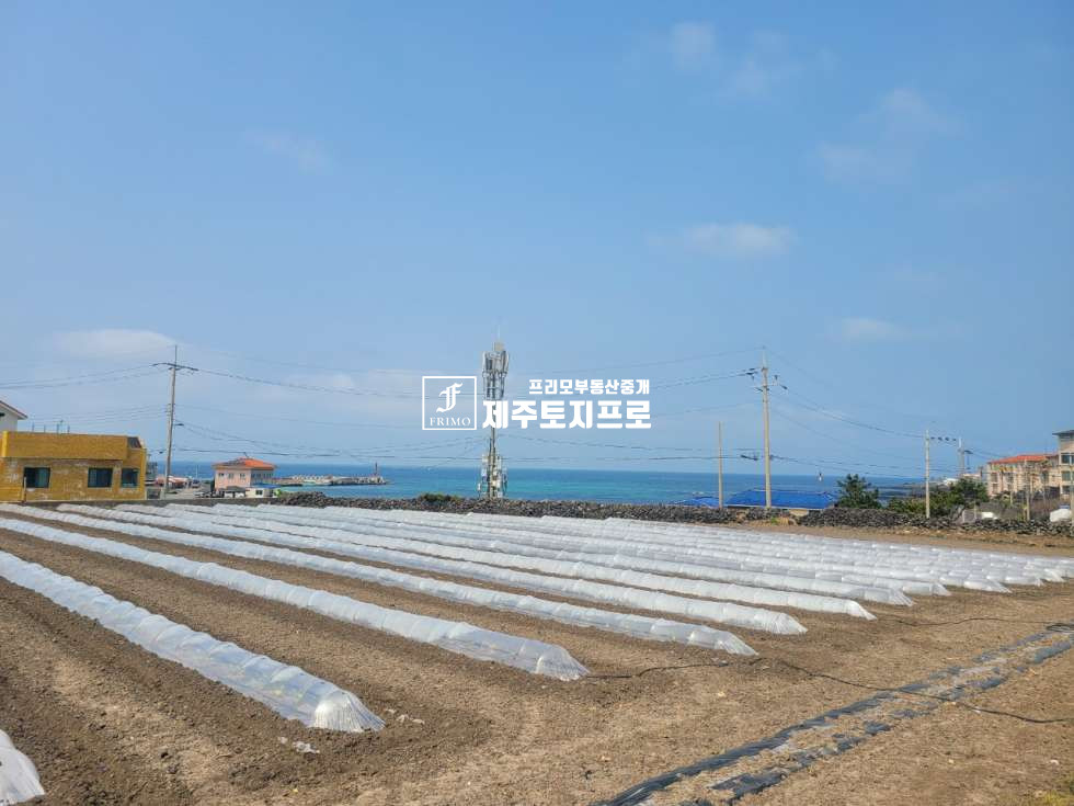 제주 제주시 한림읍 수원리 한림읍/바다뷰 영구조망/바다앞토지매매/전원주택부지로 강력추천 매매 매물번호 10052 사진 5