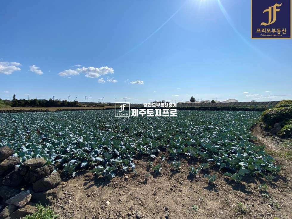 제주 제주시 한림읍 상명리 제주시 한림읍 상명리 약3M 도로접한 농사용,투자용으로 추천드리는 토지 매매 매물번호 10080 사진 1