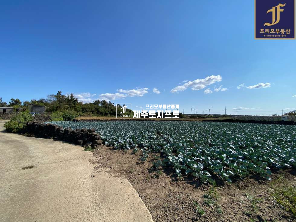 제주 제주시 한림읍 상명리 제주시 한림읍 상명리 약3M 도로접한 농사용,투자용으로 추천드리는 토지 매매 매물번호 10080 사진 4