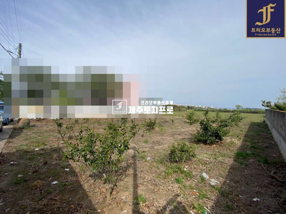 제주 제주시 도평동 급매/제주시 도평동 모양 좋은 토지매매/바다뷰o/전기,수도,오수o/빌라, 다가구부지로 추천 매매 매물번호 10281 사진 2