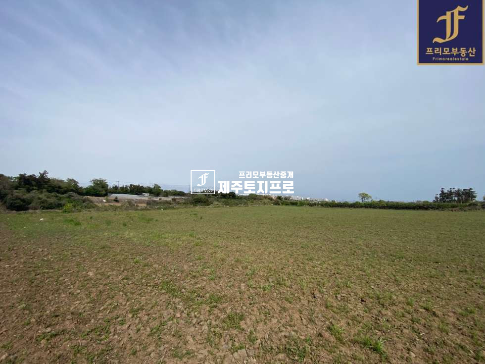 제주 제주시 도평동 급매/제주시 도평동 모양 좋은 토지매매/바다뷰o/전기,수도,오수o/빌라, 다가구부지로 추천 매매 매물번호 10281 사진 5