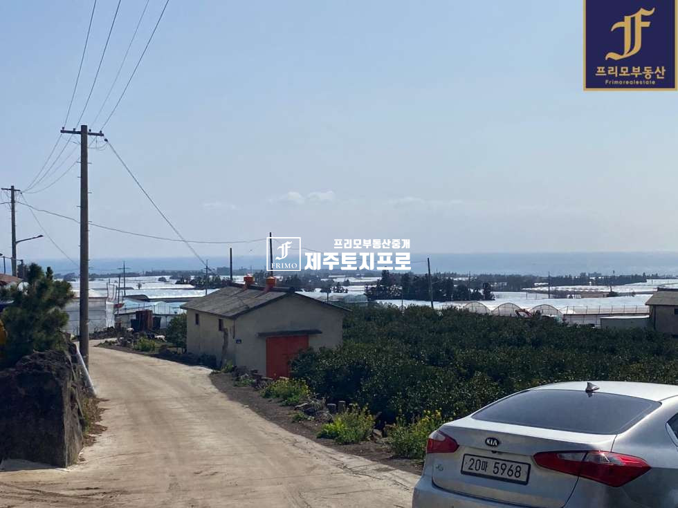 제주 서귀포시 월평동 서귀포시 월평동 토지매매/비닐하우스o/묘목o/먼바다뷰최상 매매 매물번호 10231 사진 3