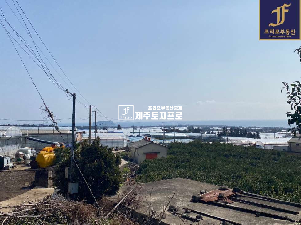 제주 서귀포시 월평동 서귀포시 월평동 토지매매/비닐하우스o/묘목o/먼바다뷰최상 매매 매물번호 10231 사진 5