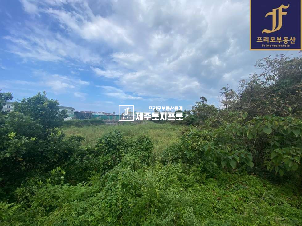 제주 제주시 도련일동 제주시 도련일동 연북로 삼화지구 우회도로 접 소형 필지 매매/투자용으로 강력추천 매매 매물번호 10043 사진 3