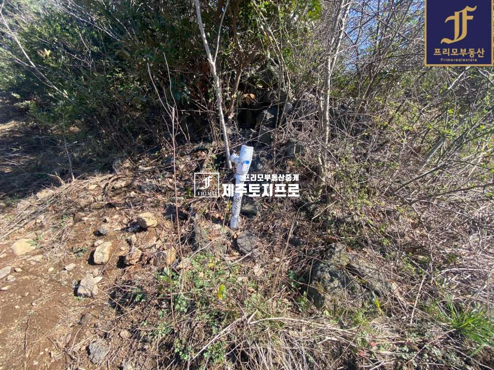 제주 제주시 조천읍 북촌리 급매/제주시 조천읍 북촌리 대도로변 접 토지/인근 대비 합리적인 가격 매매 매물번호 10245 사진 4
