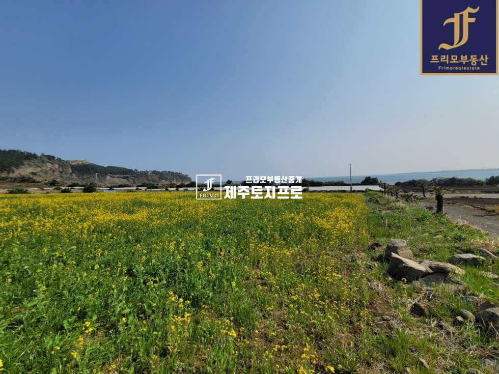 제주 서귀포시 대정읍 상모리 서귀포시 대정읍 상모리 바다조망 최상인 땅모양 이쁜 토지매매/대도로변 접/상가주택,전원주택부지로추천 매매 매물번호 10260 사진 2