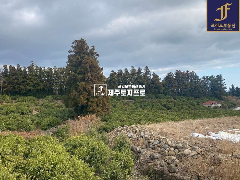 제주 서귀포시 토평동 서귀포시 토평동 타운하우스부지로 강력추천드리는 토지/내려다보는 먼바다뷰 및 섬 뷰 최상 매매 매물번호 10169 사진 6