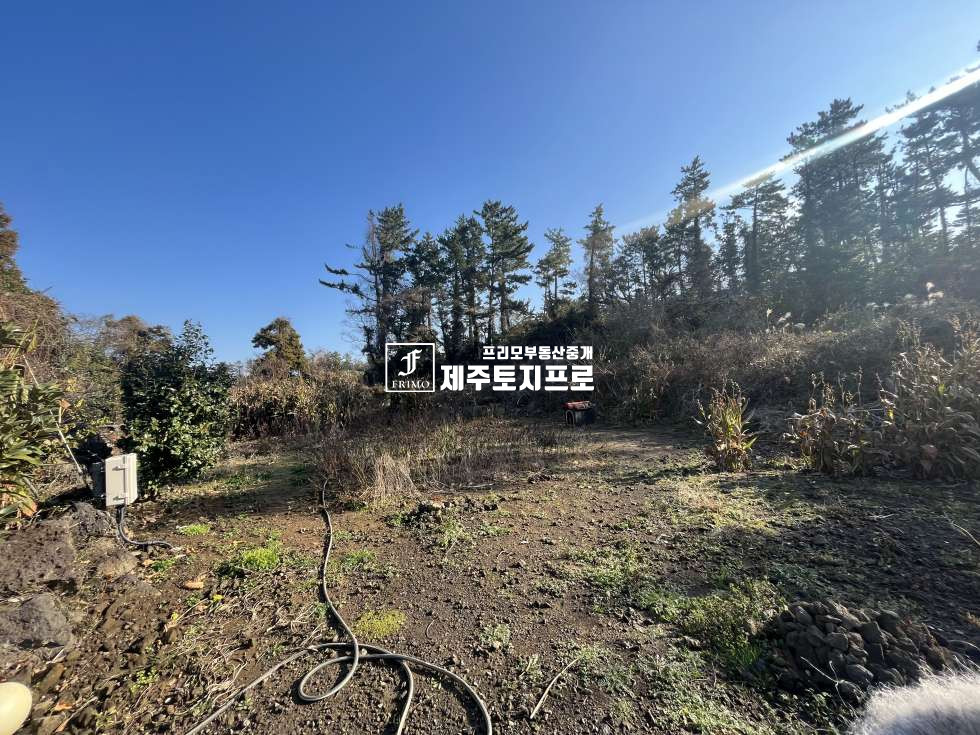 제주 제주시 애월읍 상가리 제주시 애월읍 상가리 상가교차로 인근 단독주택,별장부지로 강력추천드리는 토지/이차선도로접 매매 매물번호 10144 사진 8