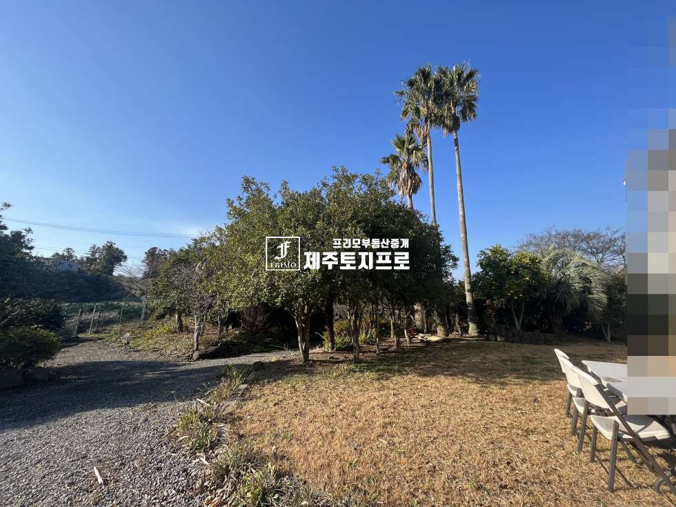 제주 제주시 애월읍 상가리 제주시 애월읍 상가리 상가교차로 인근 단독주택,별장부지로 강력추천드리는 토지/이차선도로접 매매 매물번호 10144 사진 16