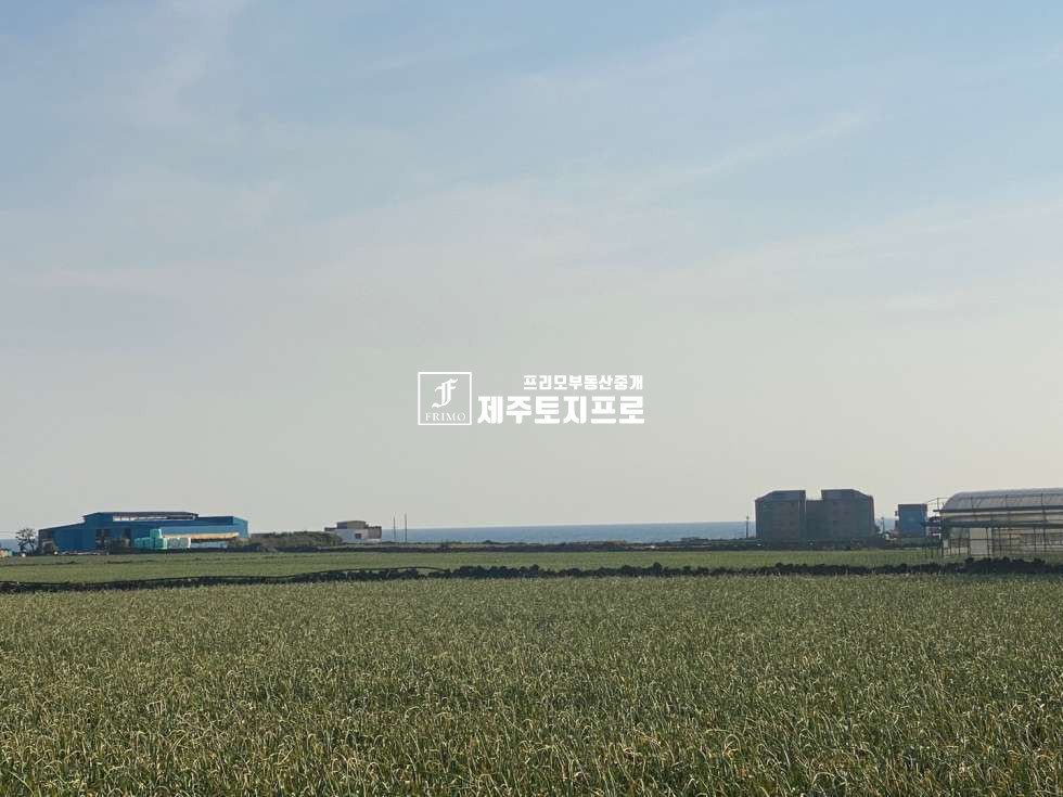 제주 서귀포시 대정읍 신도리 급매/서귀포시 대정읍 신도리 초급매 토지매매/단독주택,숙박시설부지/올레길도로 인근 매매 매물번호 10314 사진 2