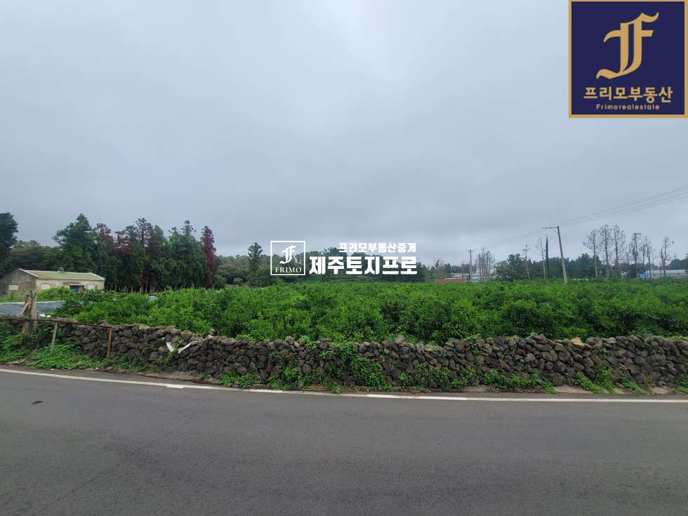 제주 서귀포시 대포동 서귀포시 대포동 중문보건소 인근 코너자리 건축가능한 땅모양 좋은 소형토지 매매 매물번호 10009 사진 7