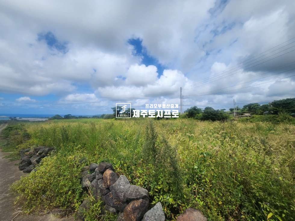 제주 제주시 애월읍 어음리 초급매/제주시 애월읍 어음리 바다뷰 나오는 모양좋은 토지매매/단독주택부지로 추천 매매 매물번호 10452 사진 2
