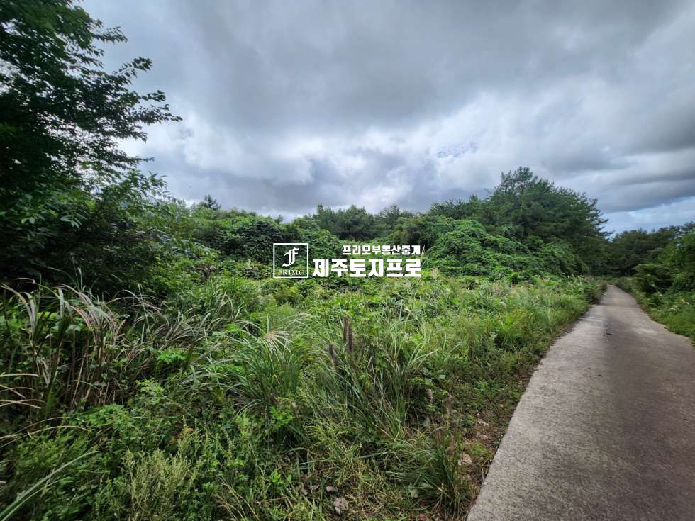 제주 제주시 애월읍 소길리 초급매/제주시 애월읍 소길리 산 필지별매매/통으로 매입도 가능 매매 매물번호 10453 사진 1