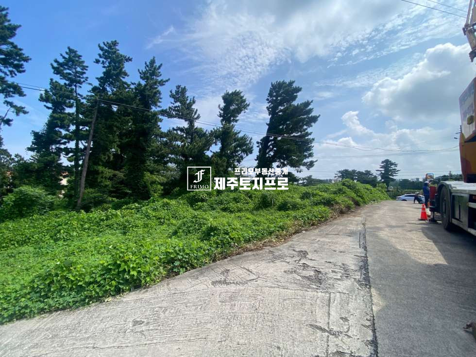 제주 제주시 애월읍 장전리 제주시 애월읍 장전리 장전초등학교 인근 이차선도로접한 토지매매/외지인매입가능/분할매매가능 매매 매물번호 10403 사진 2